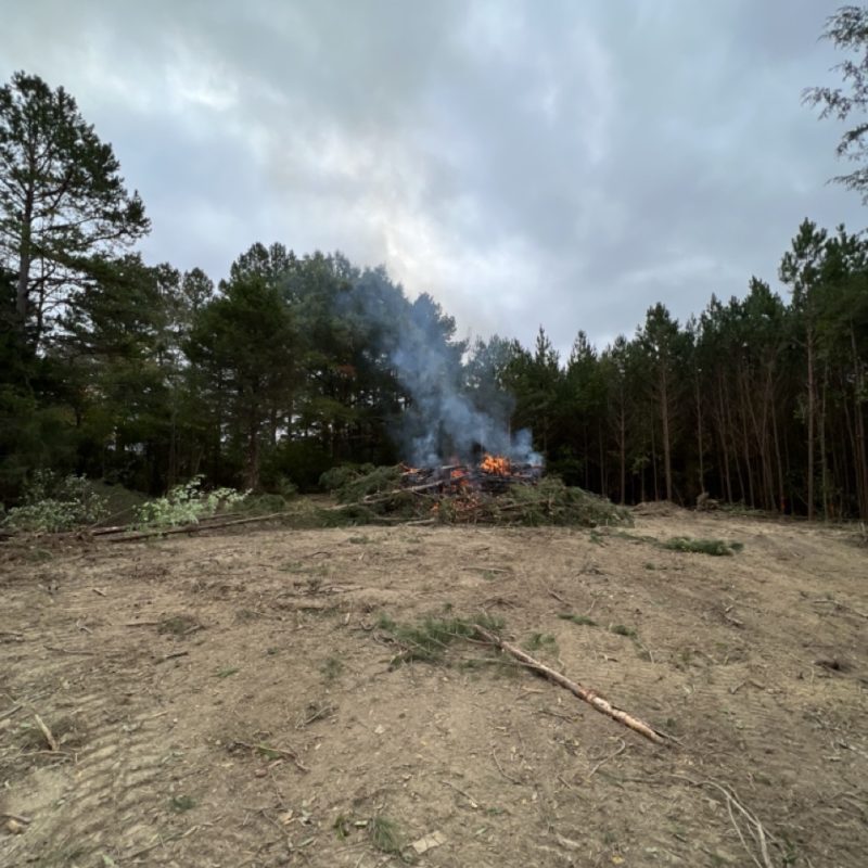 eastcoastgrading6 Large